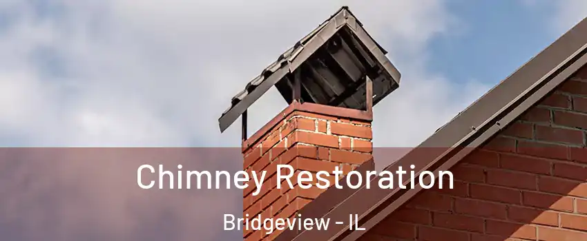  Chimney Restoration Bridgeview - IL